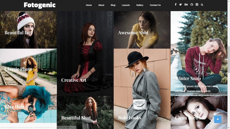 🥇 Established WordPress Premium Photography Website Theme gallery
