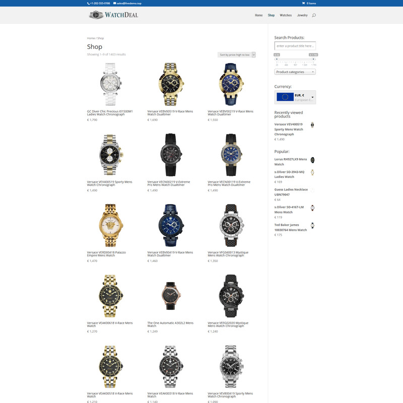 Professional Watch Dropshipping Store | Dropship Turnkey Business | Website gallery