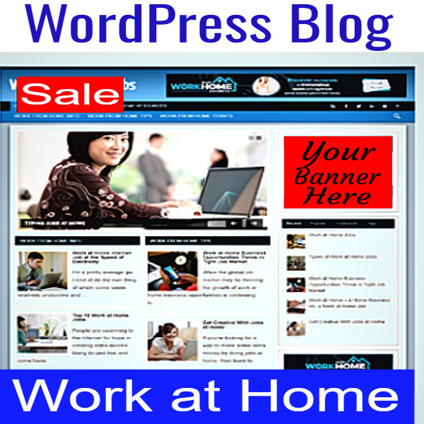 Niche Blog-Christmas Tips- WordPress-Super Alpha Unlimited Resell Hosting Biz Op gallery