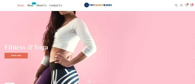 Premium Multiniche Shopify Dropshipping Store for Sale – Domain Included