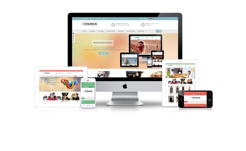 Professional Custom Web site design + Domain + Hosting Wordpress Website gallery