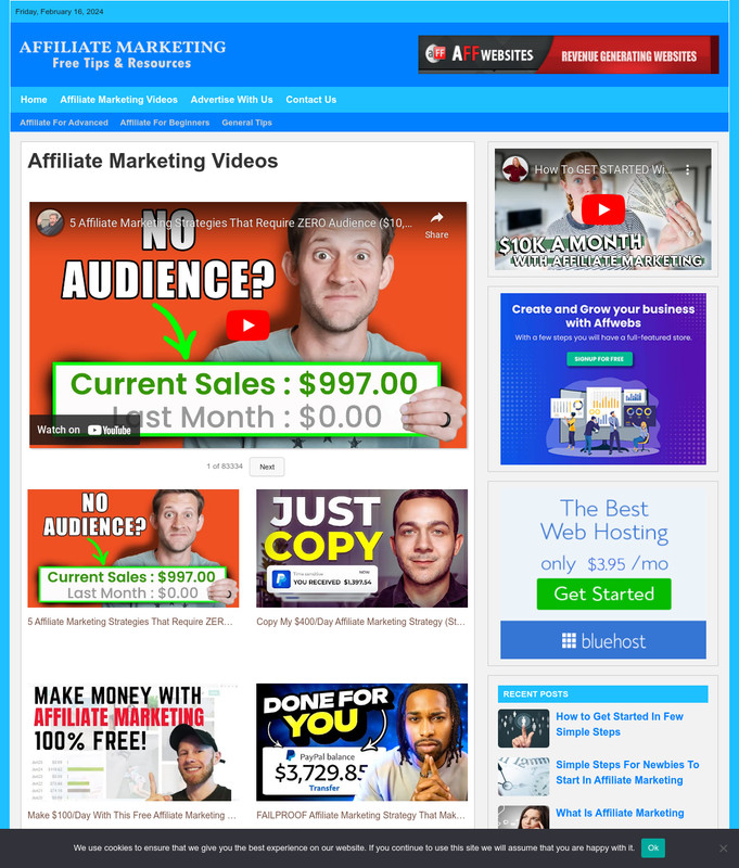 Affiliate Marketing Website Business For Sale: Ready-to-Launch Free Installation gallery
