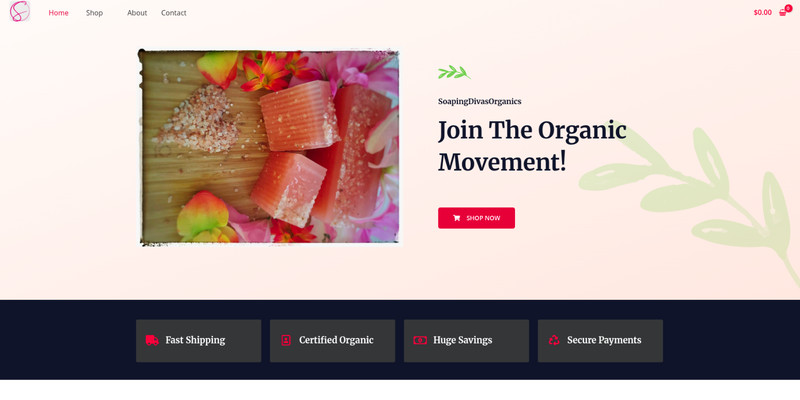 Professional Web Design – Built for Your Success Custom Websites for Businesses gallery