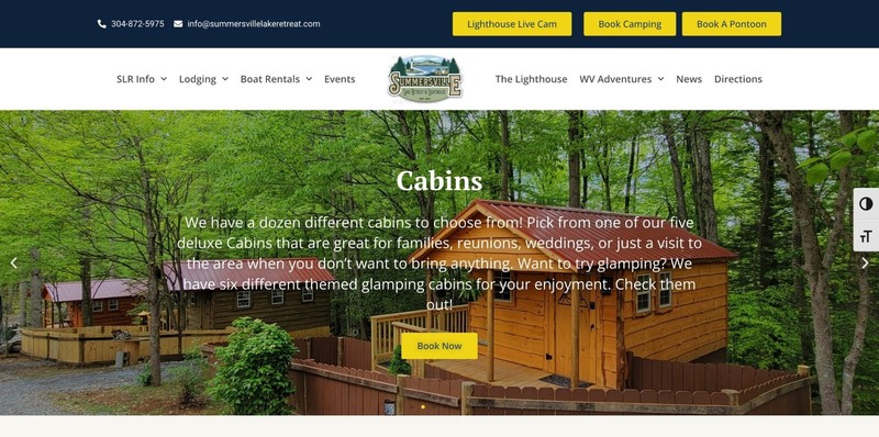 Professional & Custom Wordpress ECommerce Website Design Package gallery
