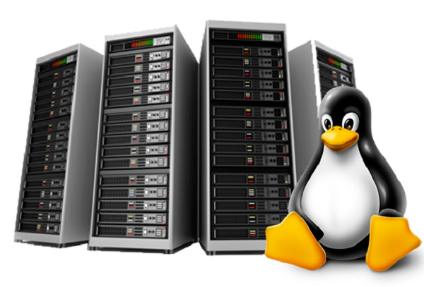 Hosting for Forums - 💬Lightning-Fast SSD SSL, Unlimited Emails | Just $14.99/Yr gallery
