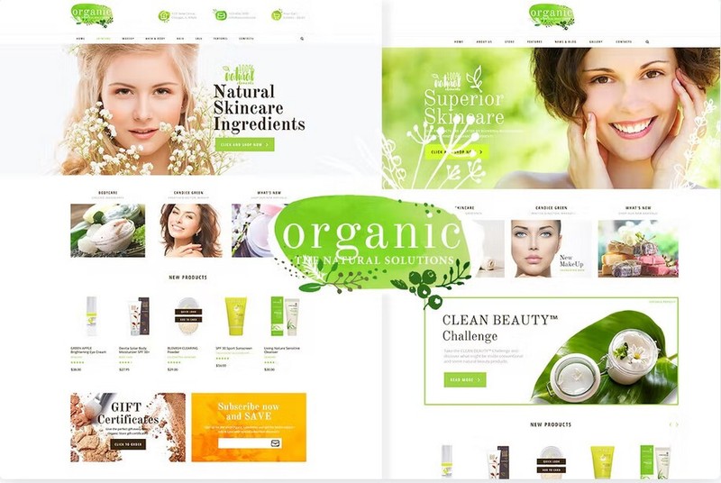 Stylish, Fresh and Powerful WordPress Theme – Organic Beauty