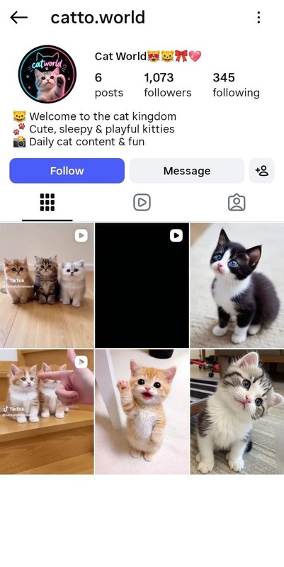Instagram Page Business For Sale