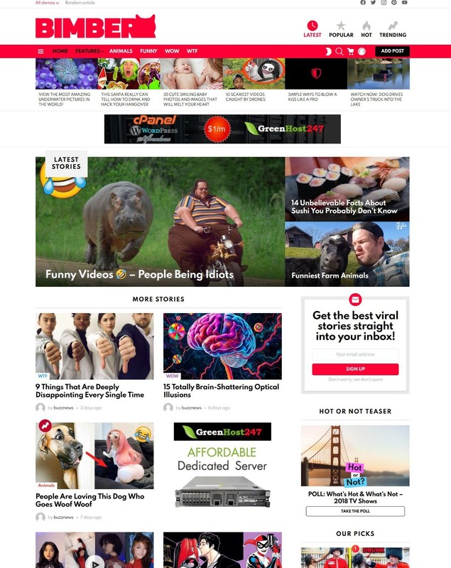 Viral Buzz News Website + Free Installation