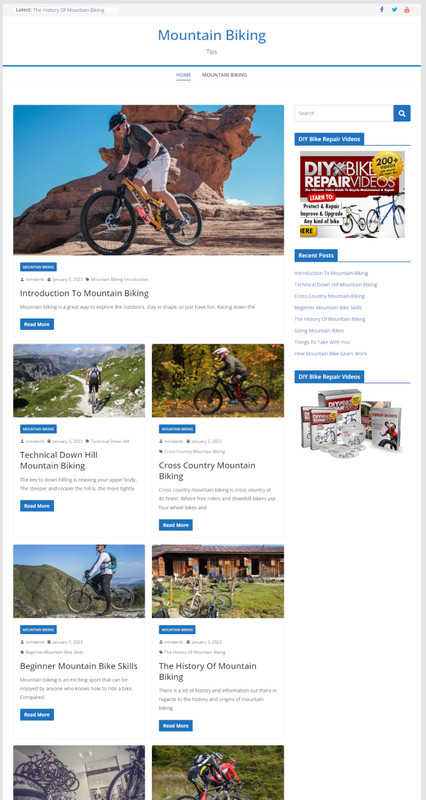 Hosting and Support For Our Niche Affiliate Websites gallery