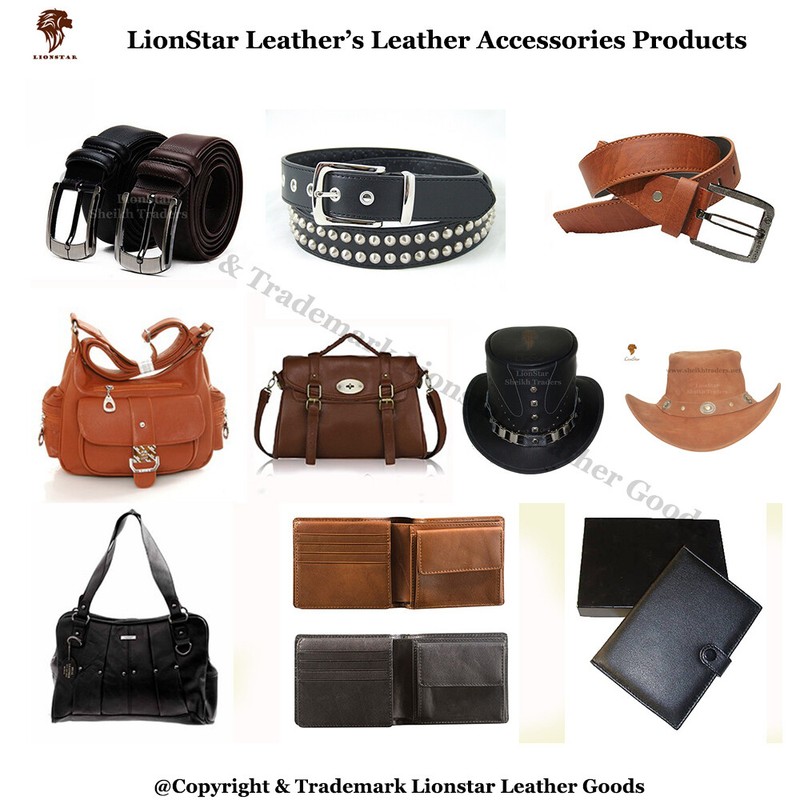 Lionstar Leather Business Dealership For Online Shop or Drop-Shipping gallery