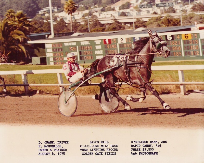 HarnessRacing.WS INTERNET DOMAIN HARNESS HORSE RACING STANDARDBRED HORSE HISTORY gallery