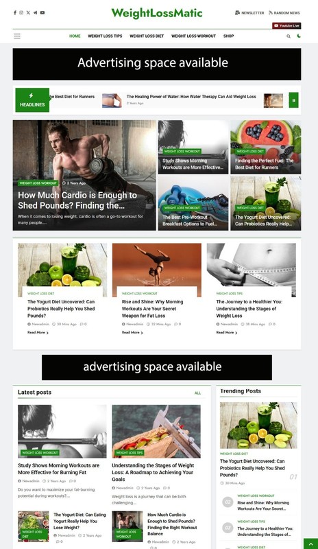 Weight Loss AI Blog Website + Affiliate & Drop Shipping
