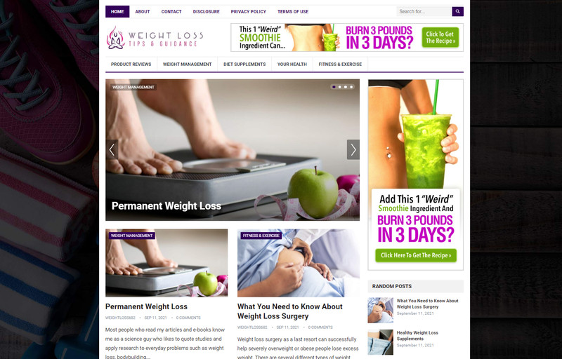 DFY WEIGHT LOSS NICHE BLOG WORDPRESS WEBSITE+FREE INSTALLATION HIGH QUALITY SEO