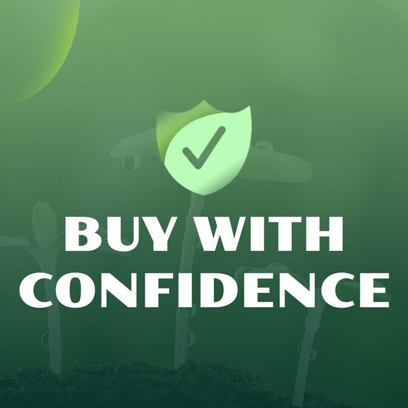 eBay Mobile Responsive Templates eBay Listing Auction Template HTTPS Secure gallery