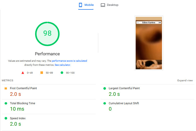 speed up wordpress shopify wix website on google pagespeed insights gallery