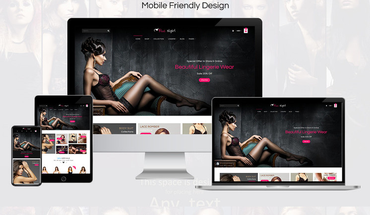 Lingerie Website Business | Luxury Sexy Underwear Dropshipping Store For Sale gallery