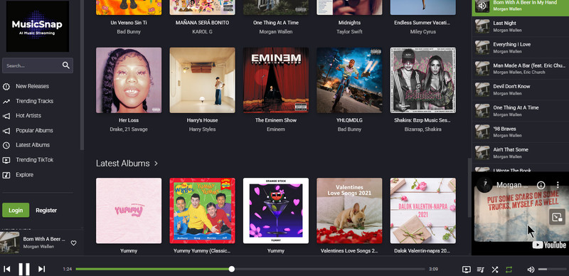 Music and Video Search Engine Streaming Tube Website + Free Hosting gallery
