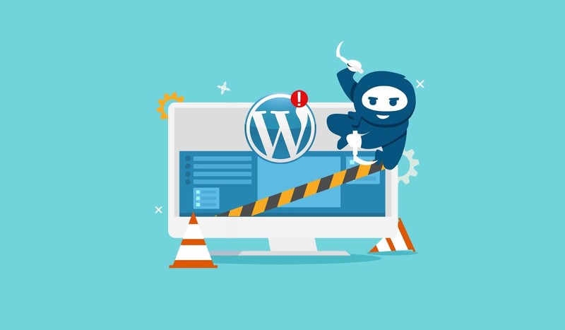 I will fix wordpress issues errors and customize wordpress website in 2 hours gallery