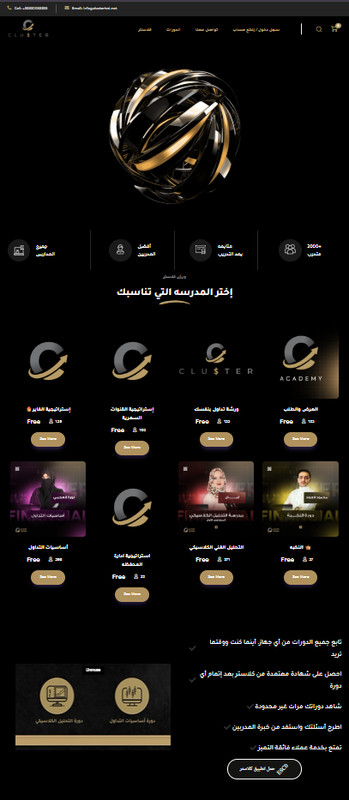Full Custom Wordpress Website Development Responsive Web Design only for 60 gallery