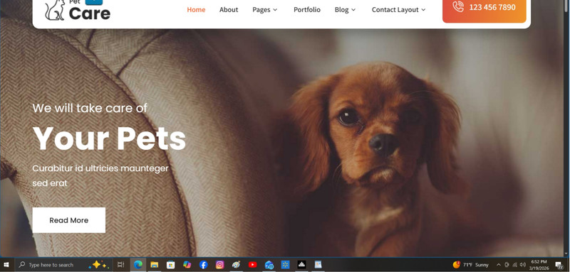 PET SITTER / WALKER/ SERVICES - Website for sale (For the self-employed)