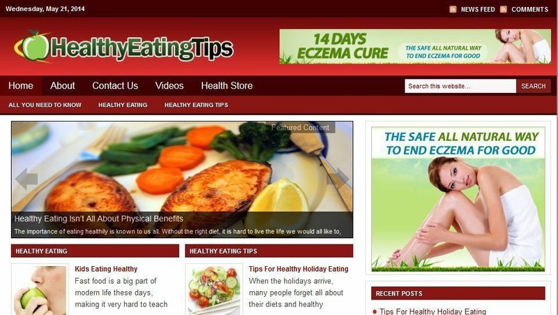 Healthy Eating / Balanced Diet Niche WordPress Website For Sale! Free Hosting