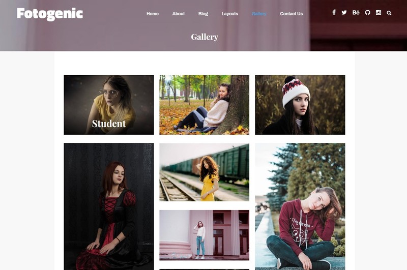 🥇 Established WordPress Premium Photography Website Theme gallery