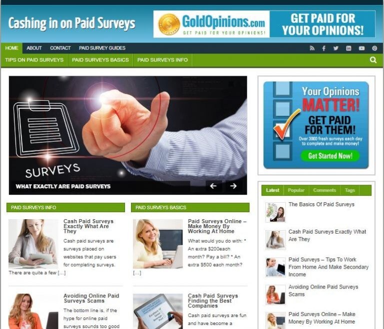 Paid Surveys Ready Made Blog Turnkey Niche Website Business for Sale