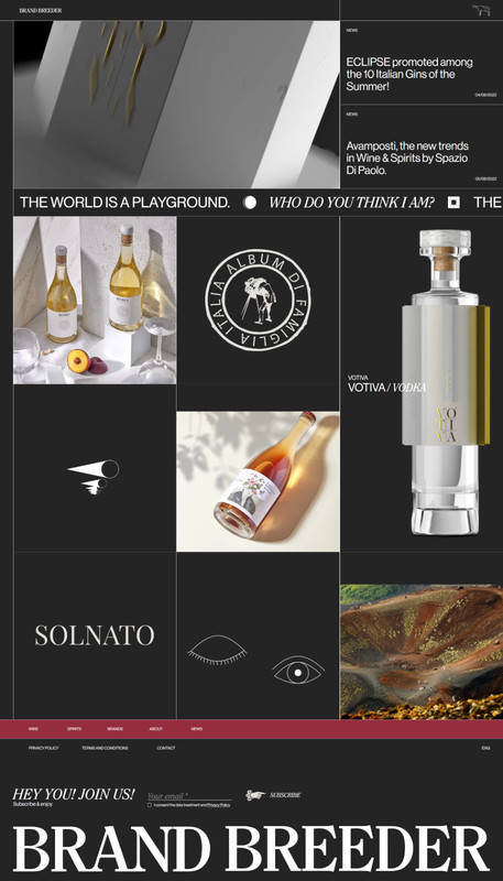 Professional WordPress Website Design & Setup | Responsive | SEO Optimization gallery
