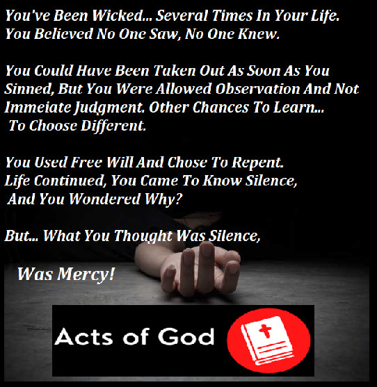 Christianity Bookstore Website For Sale (Spread the word of God) gallery