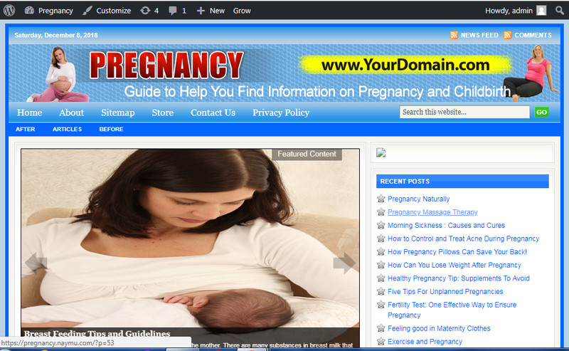 Exceptional Pregnancy Care Store Website Free Installation + Free Hosting