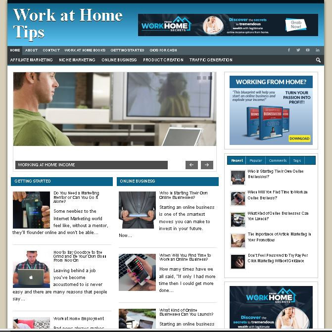 4 Premade Niche Websites - Infertility Blog, Credit Repair, Work from Home, Make gallery