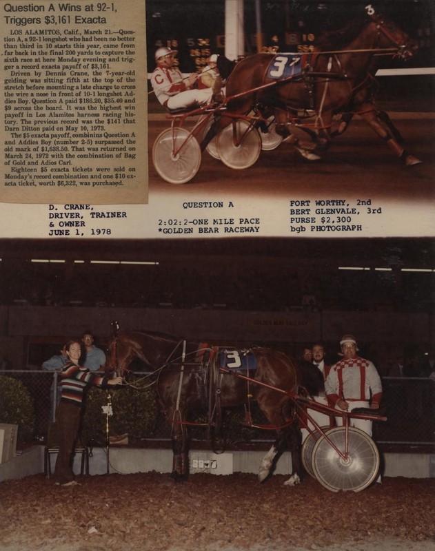 HarnessRacing.WS INTERNET DOMAIN HARNESS HORSE RACING STANDARDBRED HORSE HISTORY gallery