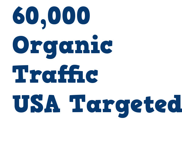60,000 Real USA Organic TRAFFIC from Search Engine Referrals & 5 Keywords