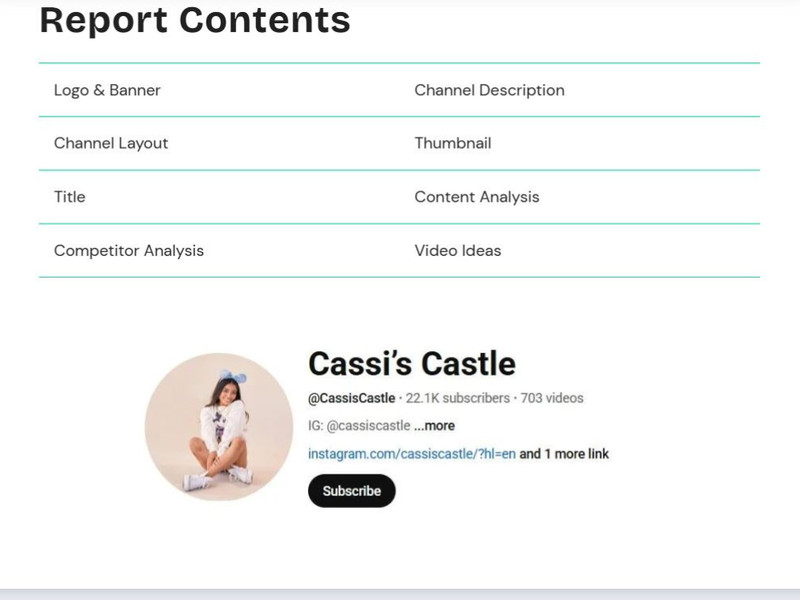 Channel audit and customized Strategy to grow (PDF) gallery