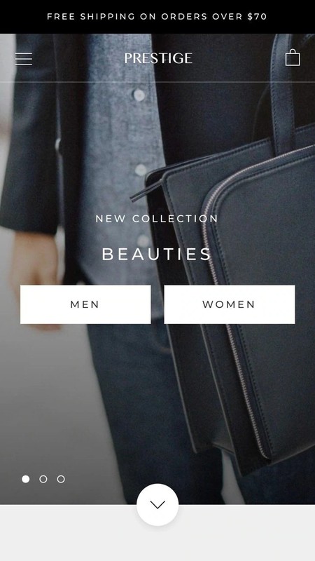 Shopify +10 Premium Themes. Ella, Prestige, Impulse, Showcase and more gallery