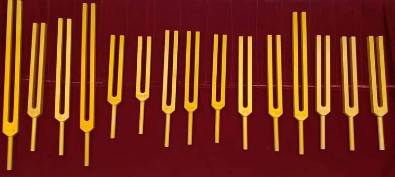 Human Organ Gold Unweighted 15 Set Tuning Forks with Mallet and Velvet Bag