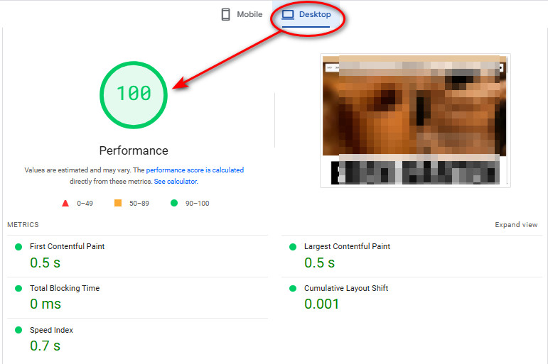 speed up wordpress shopify wix website on google pagespeed insights gallery