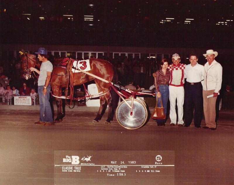 HarnessRacing.WS INTERNET DOMAIN HARNESS HORSE RACING STANDARDBRED HORSE HISTORY gallery