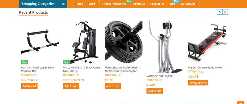 Established Profitable FITNESS Turnkey Online Business Website For Sale gallery