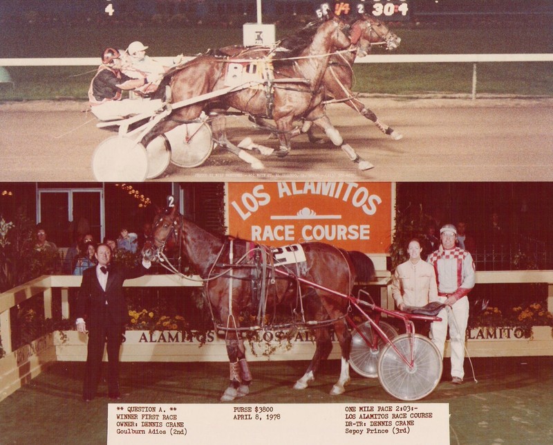 ChristianHorsemen.com INTERNET DOMAIN HARNESS HORSE RACING STANDARDBRED HORSEMEN gallery