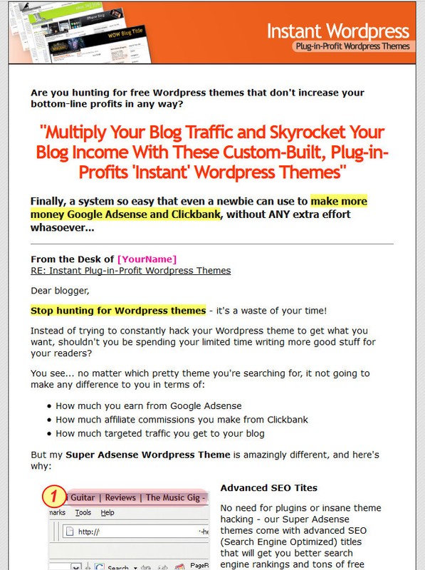 30 SUPER Adsense & Clickbank WordPress Themes