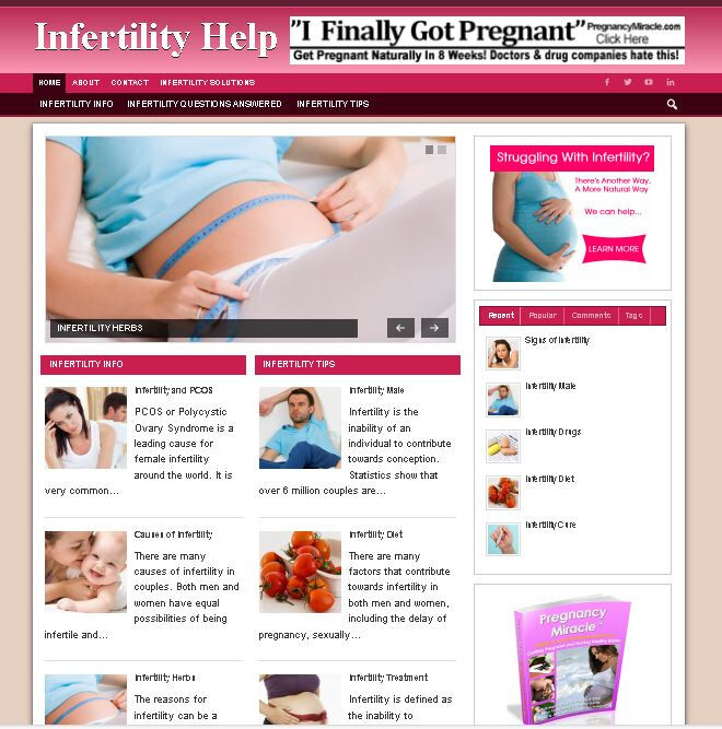4 Premade Niche Websites - Infertility Blog, Credit Repair, Work from Home, Make gallery