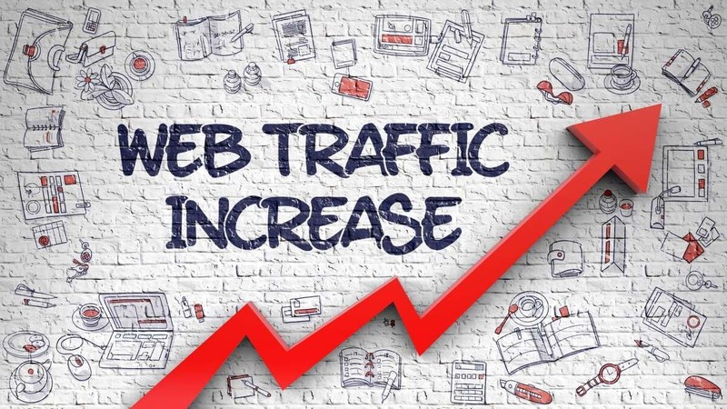 Targeted Website Visitors – Daily 1000 Visitor to Your Website