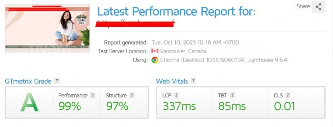 SPEED UP Wix Shopify Wordpress website with improve GTmetrix Google Pagespeed gallery