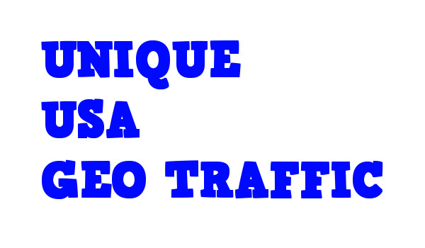 60,000 Real USA Organic TRAFFIC from Search Engine Referrals & 5 Keywords gallery