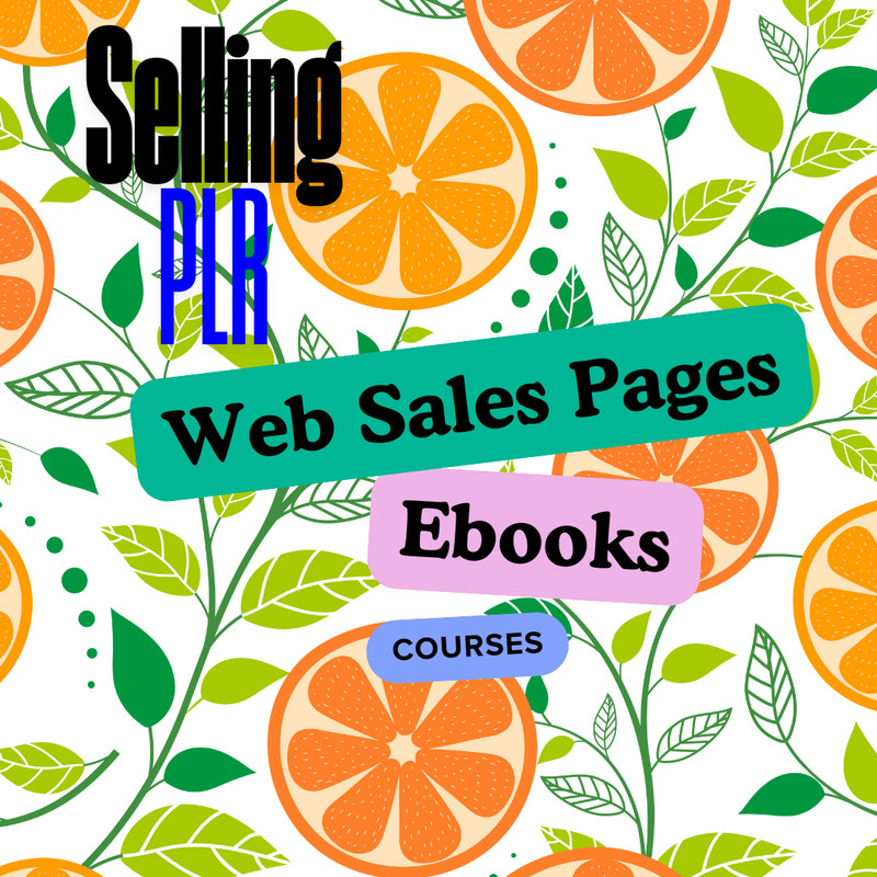 Selling PLR E books, Guides & Courses Plus Splash Pages Make Cash Online Bundle
