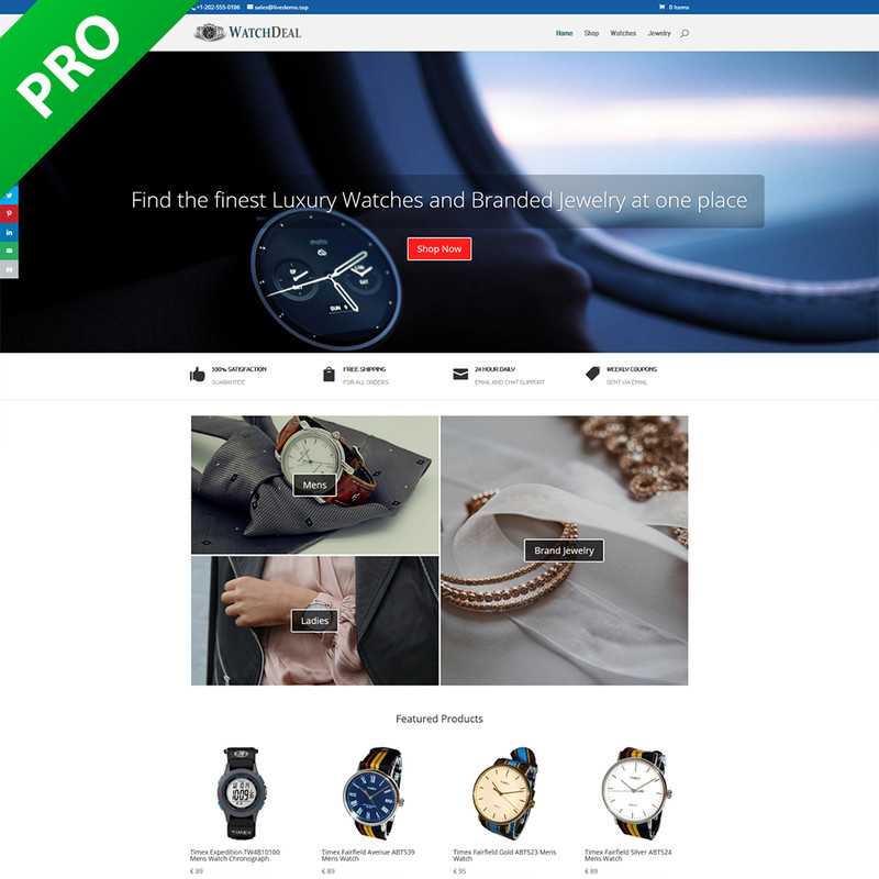 Professional Watch Dropshipping Store | Dropship Turnkey Business | Website