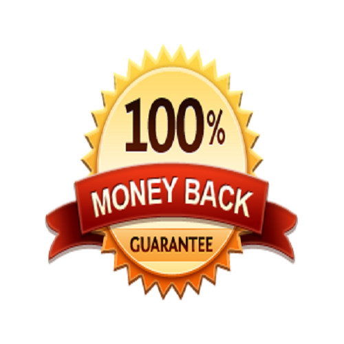 250,000 Real Traffic SEO search engines booster advertising gallery