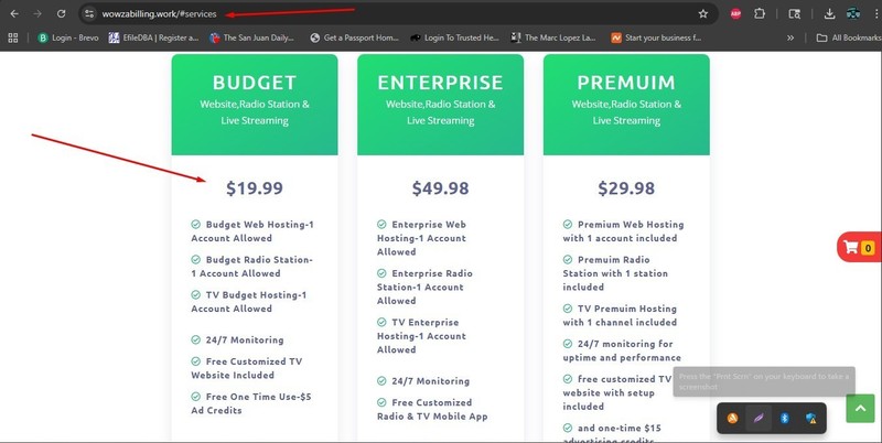 Professional Internet Business | Save off Shopify fees & get your own store gallery