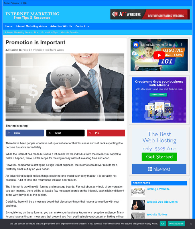 Internet Marketing Website Business For Sale: Ready-to-Launch Free Installation gallery